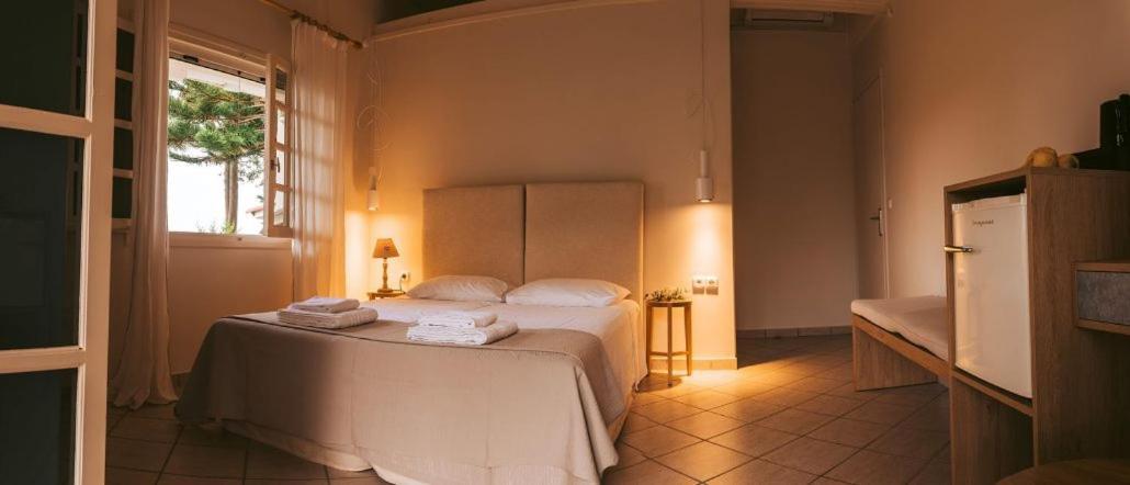 ואסיליקי Villa Kastri Apartments מראה חיצוני תמונה